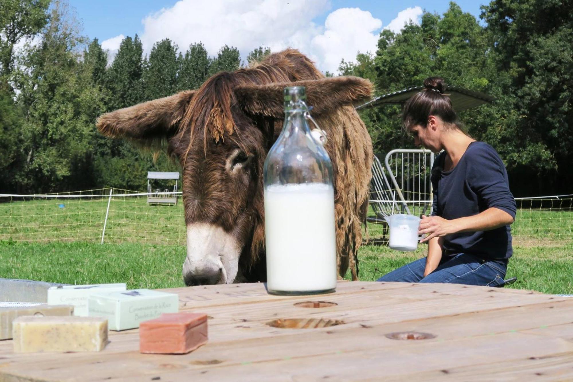 La Ferme Du Marais Poitevin - Roulotte Hotel Benet Eksteriør billede