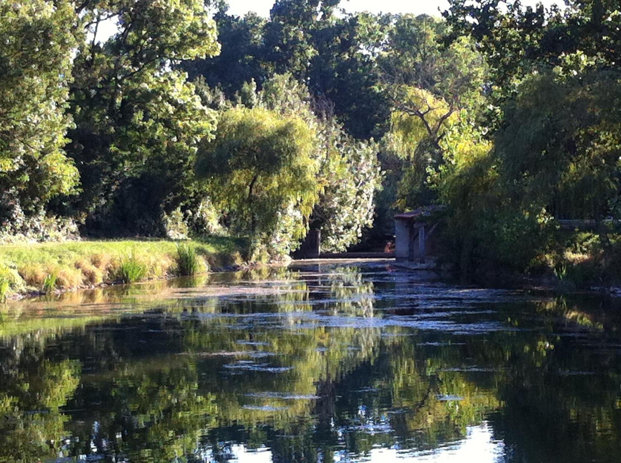 La Ferme Du Marais Poitevin - Roulotte Hotel Benet Eksteriør billede